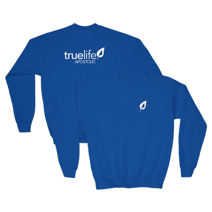 Youth- BasicCrewneck Sweatshirt - TrueLife Apostolic