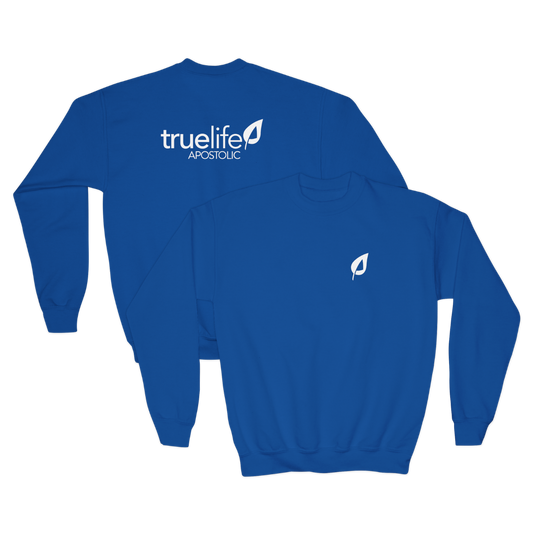 Youth- BasicCrewneck Sweatshirt - TrueLife Apostolic
