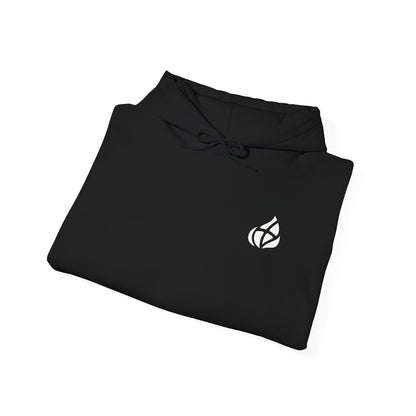 ADULT - Basic Hoodie - GOD's Plan - BBA