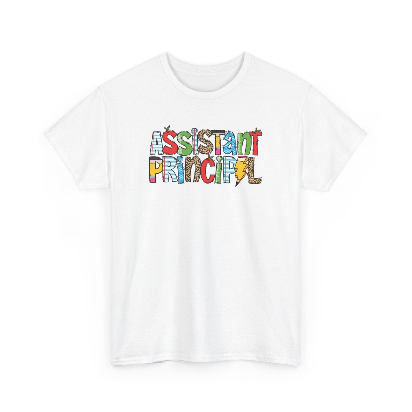 Assistant Principal Colorblock T-Shirt- Fun School Staff Gift