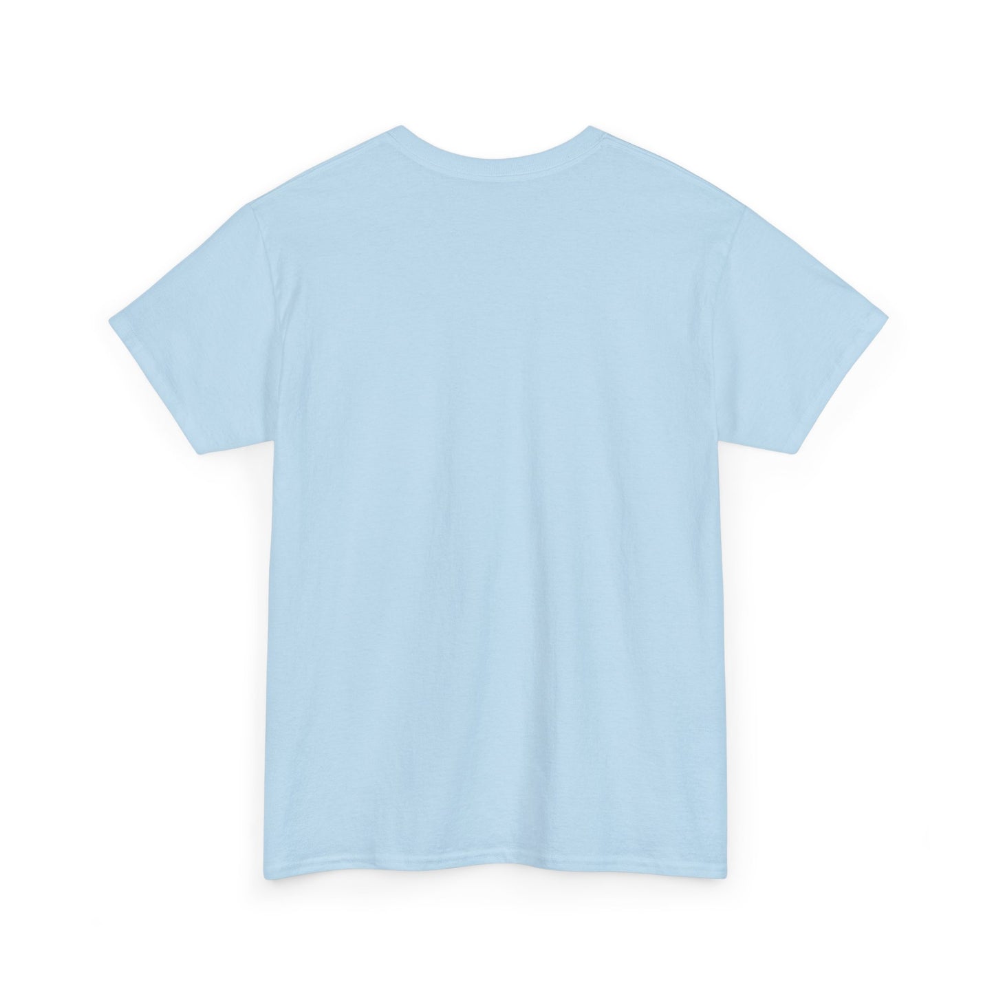FACS Teacher Colorblock T-Shirt- Fun School Staff Gift