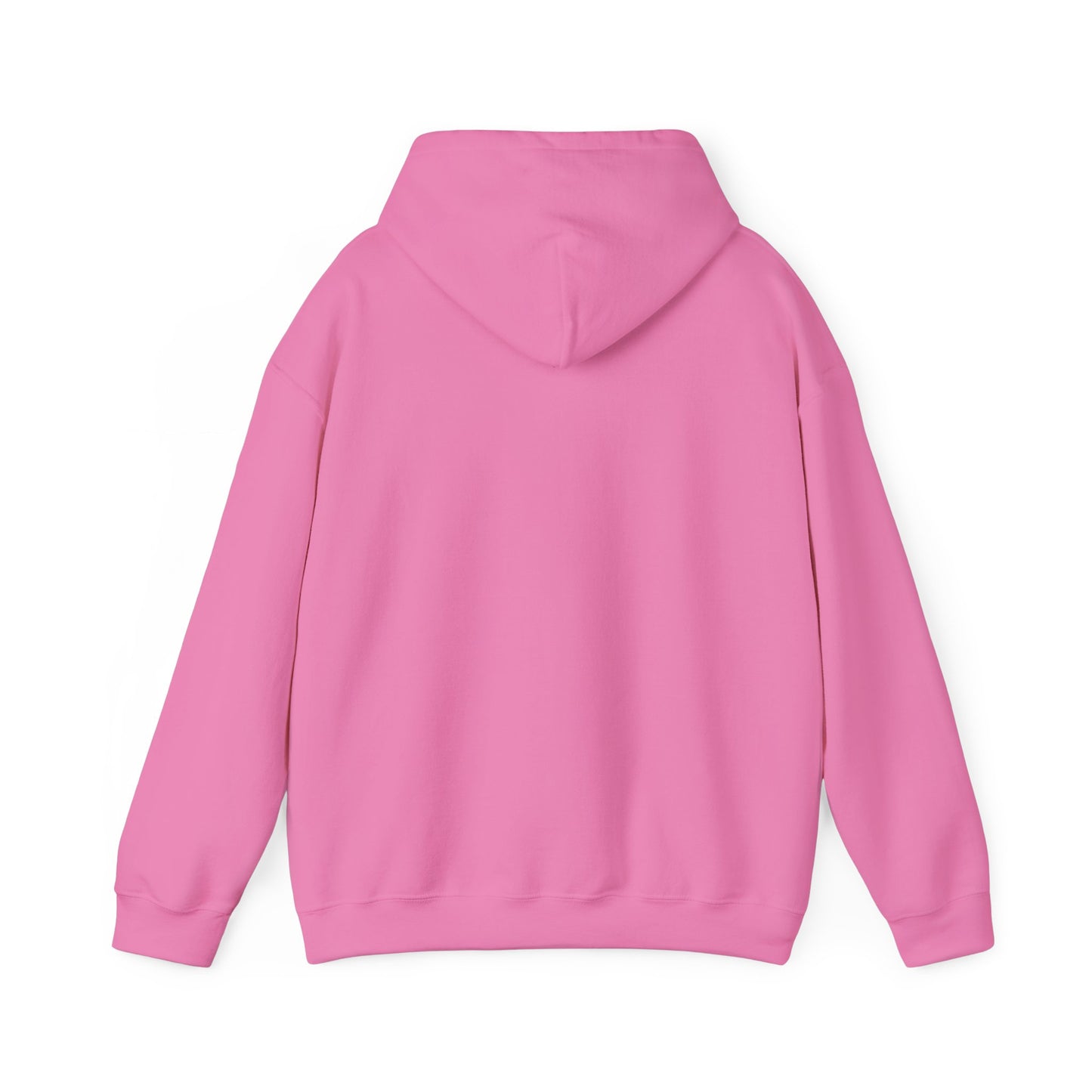 ADULT - Classic Pullover Hoodie - City on a Hill
