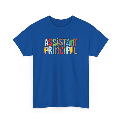 Assistant Principal Colorblock T-Shirt- Fun School Staff Gift