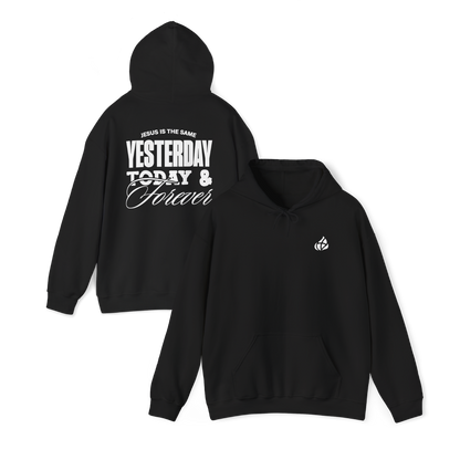 ADULT - Basic Hoodie - Jesus is the Same - BBA