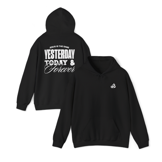 ADULT - Basic Hoodie - Jesus is the Same - BBA