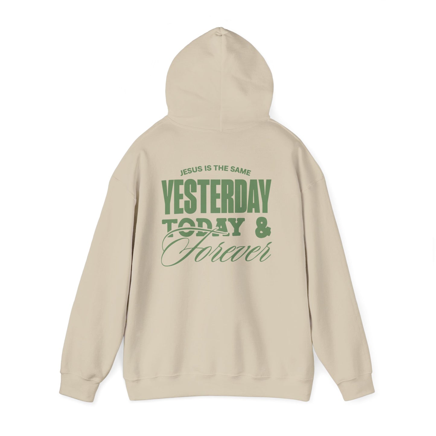 ADULT - Basic Hoodie - Jesus is the Same - BBA