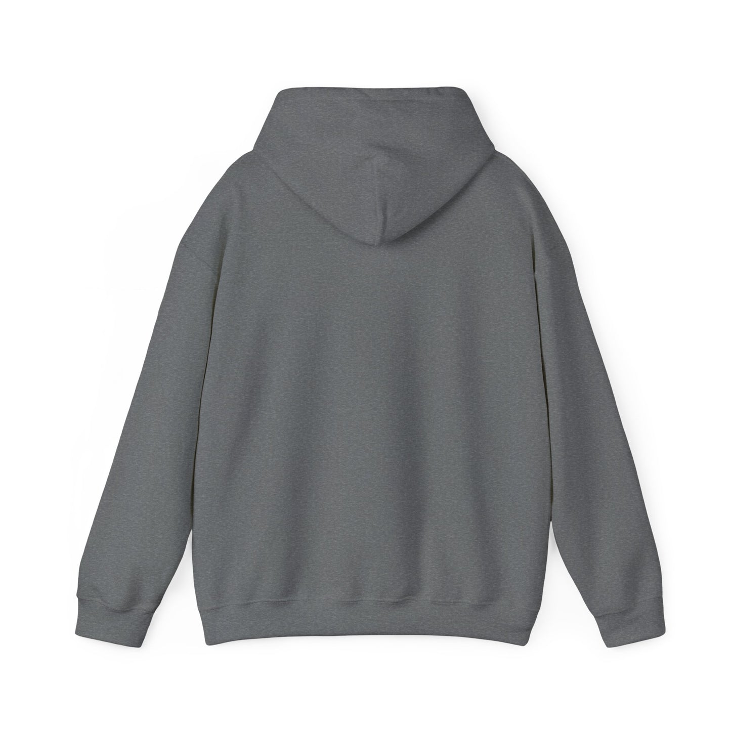 ADULT - Classic Pullover Hoodie - City on a Hill