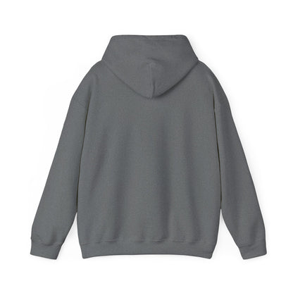 ADULT - Classic Pullover Hoodie - City on a Hill