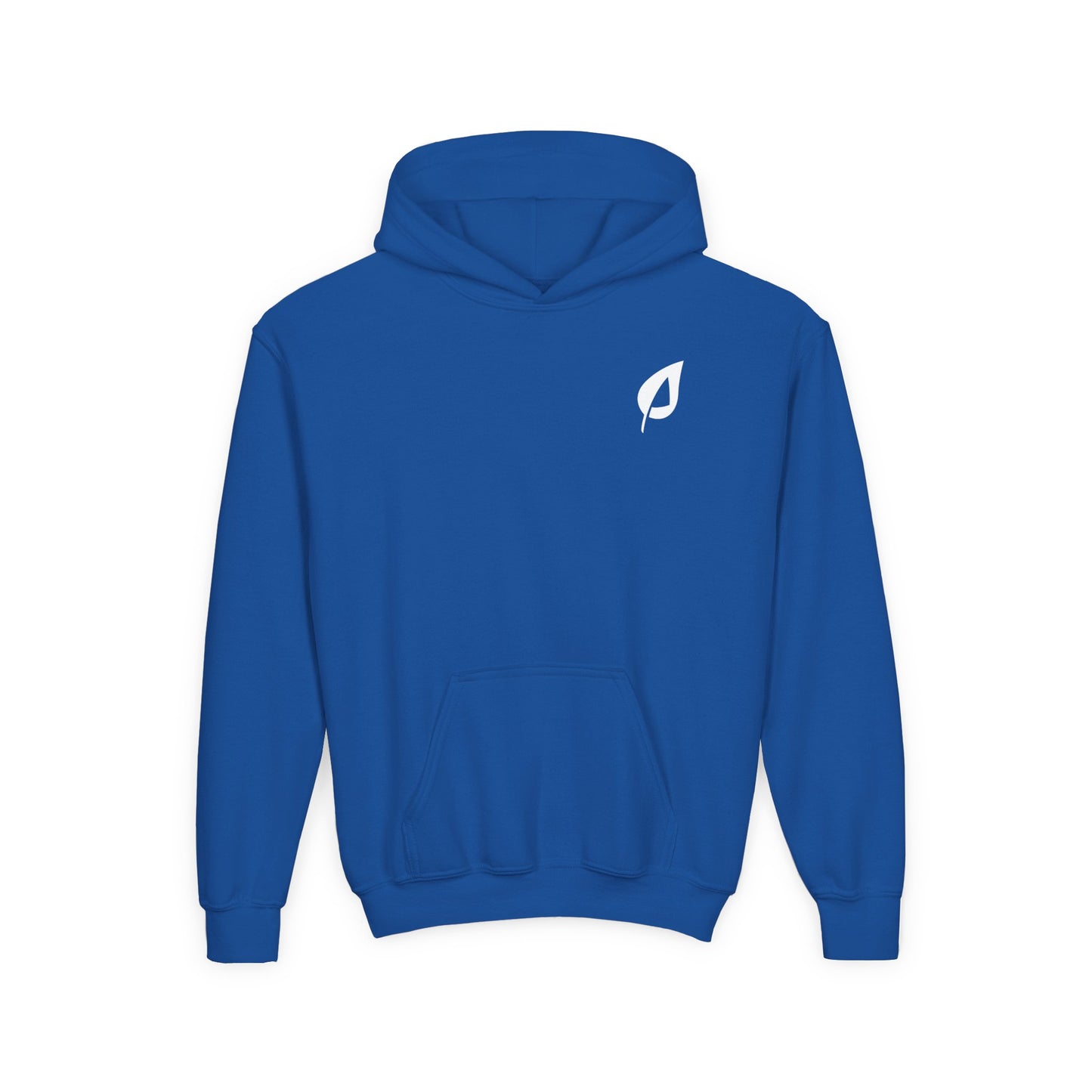 YOUTH - Basic Unisex Hooded Sweatshirt - TrueLife Apostolic