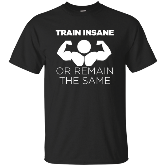 Train  Insane Or Remain The Same